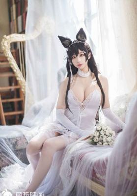 斗士电影国语版免费观看高清版_完整版在线观看